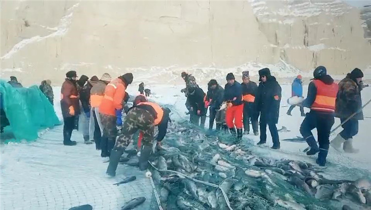 大拉网 有囊大拉网 冰下大拉网 地拉网