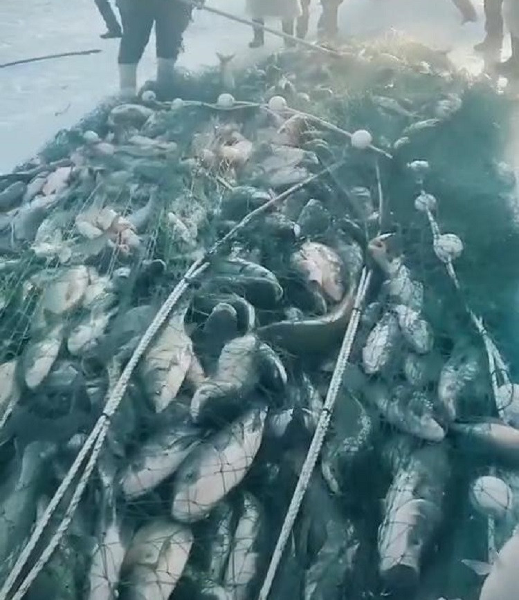 大拉网 有囊大拉网 冰下大拉网 地拉网