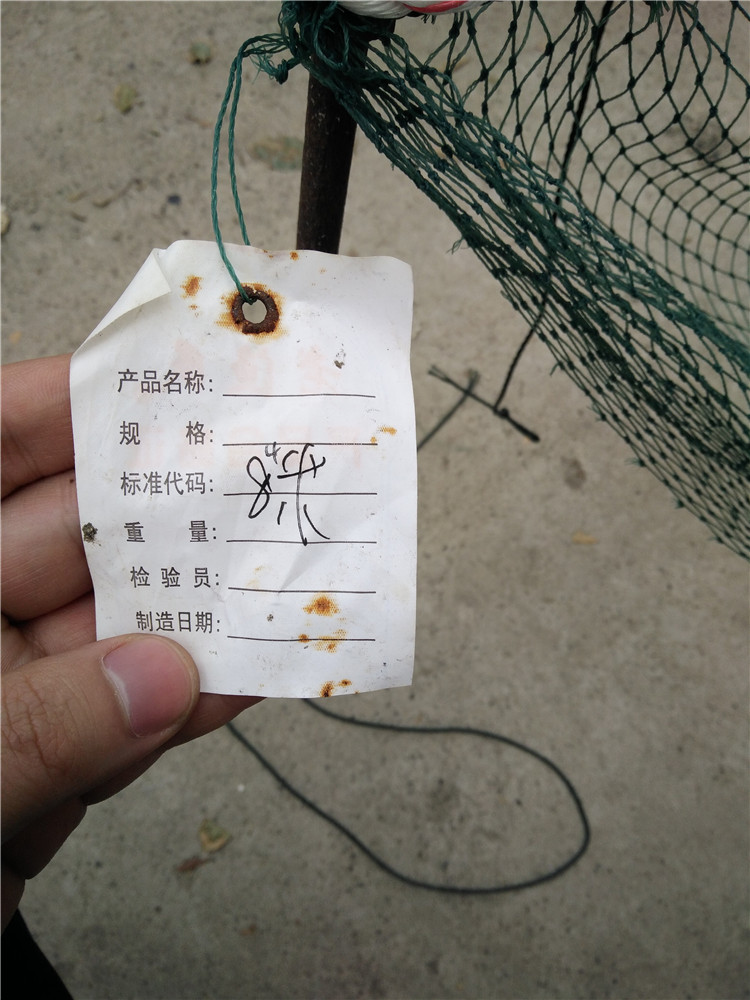 大拉网 无囊大拉网 地拉网 高脚网