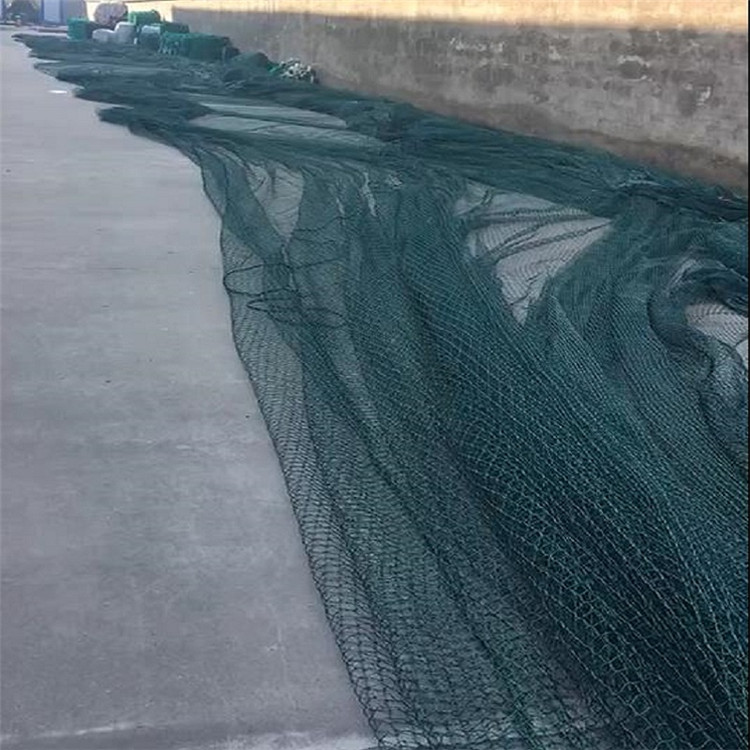 大拉网 无囊大拉网 地拉网 高脚网