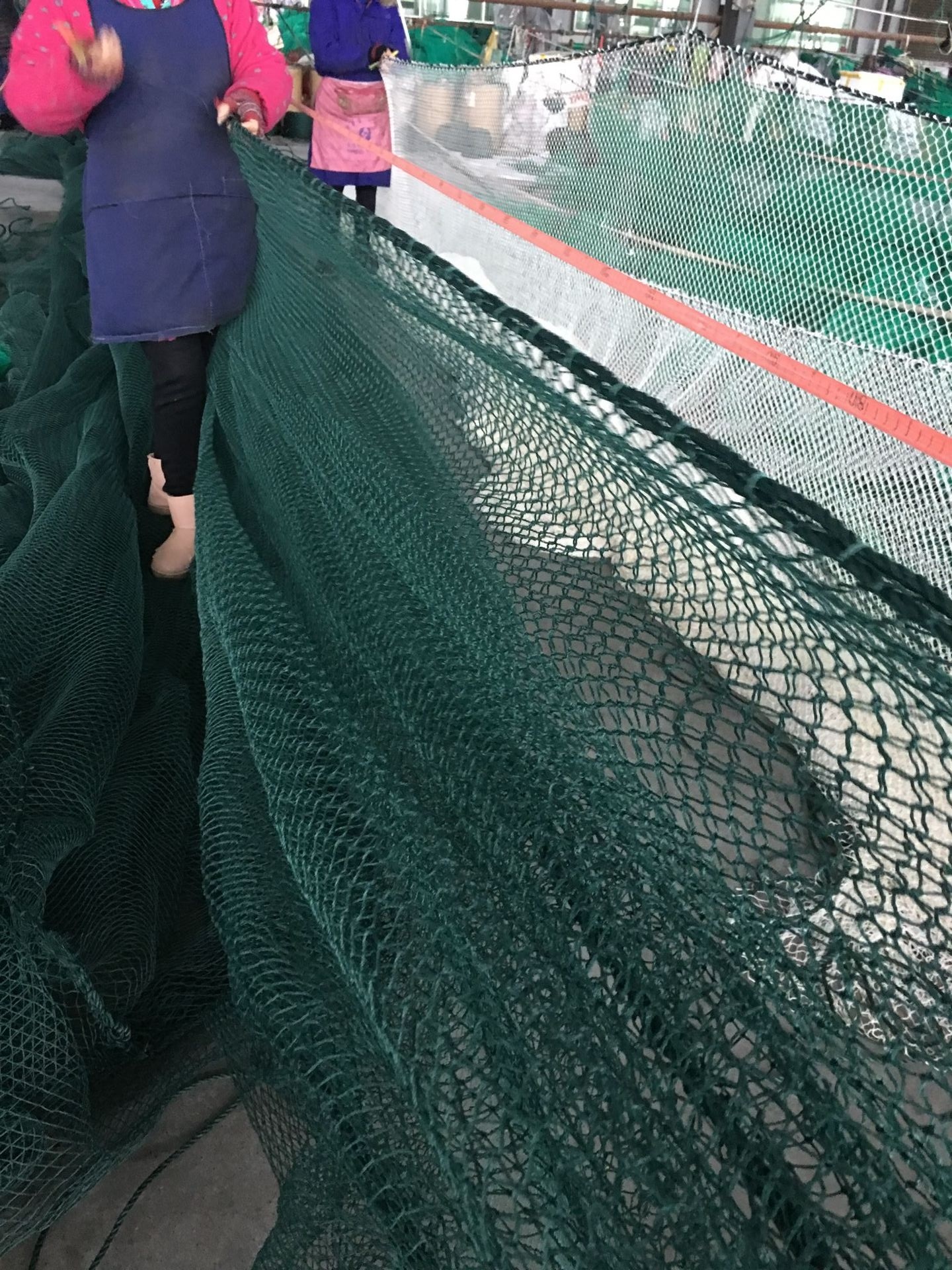 大拉网 无囊大拉网 地拉网 高脚网