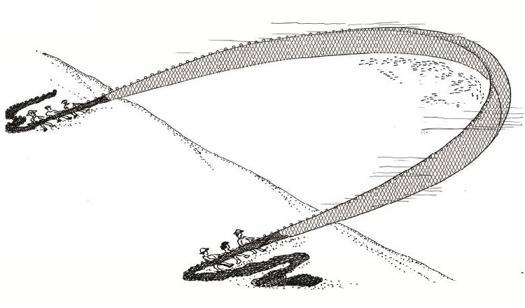 大拉网 无囊大拉网 地拉网 高脚网