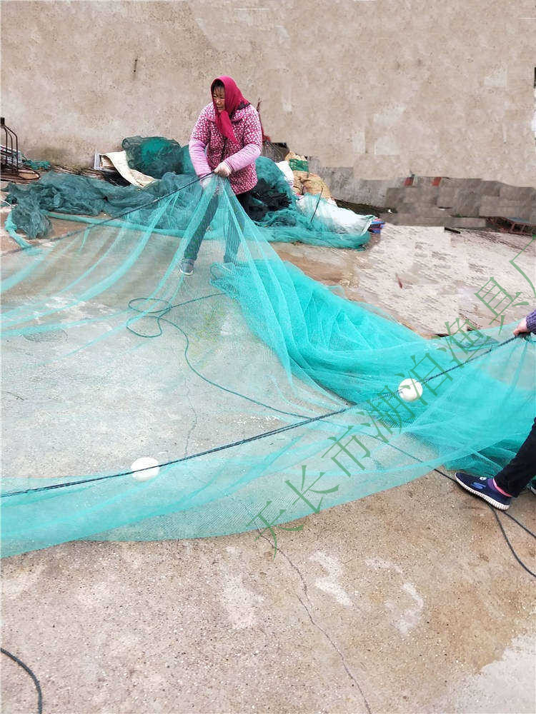 大拉网 无囊大拉网 地拉网 高脚网