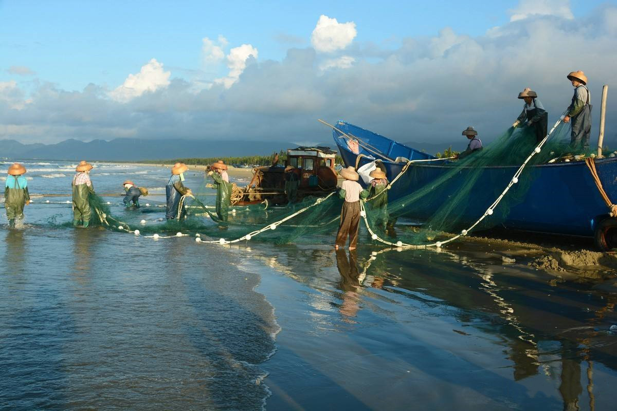 大拉网 无囊大拉网 地拉网 高脚网