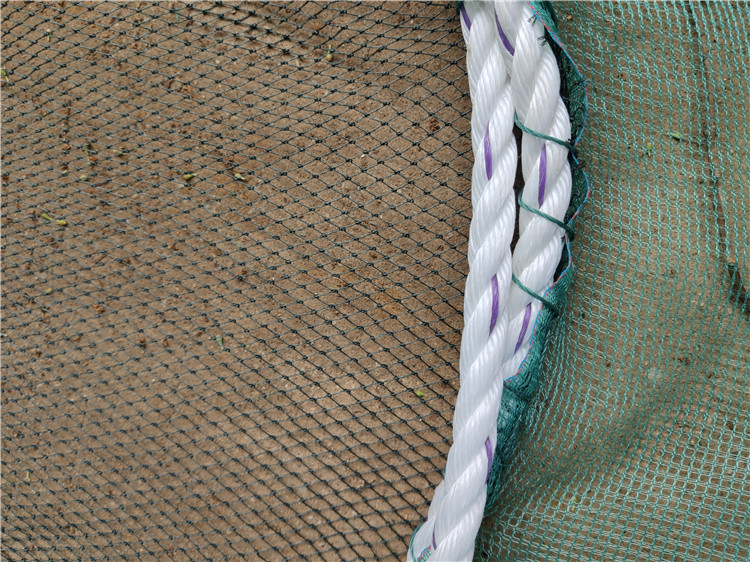 大拉网 无囊大拉网 地拉网 高脚网