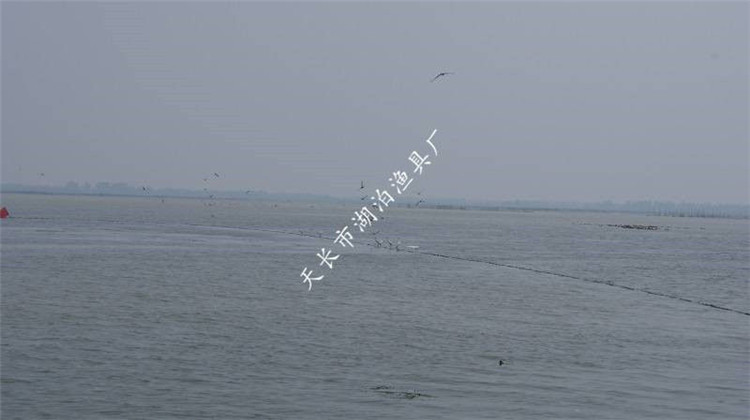 大拉网 无囊大拉网 地拉网 高脚网