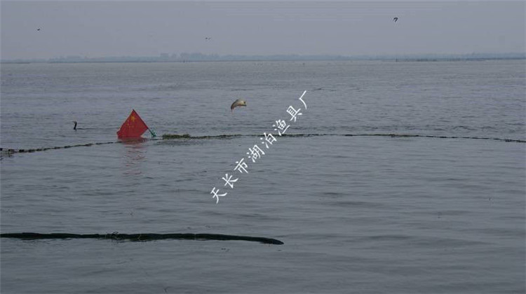 大拉网 无囊大拉网 地拉网 高脚网