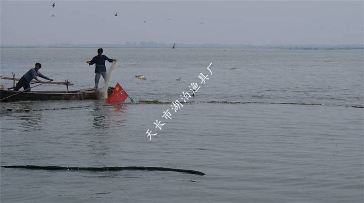 大拉网 无囊大拉网 地拉网 高脚网