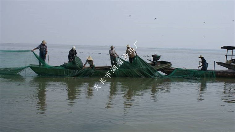 大拉网 无囊大拉网 地拉网 高脚网