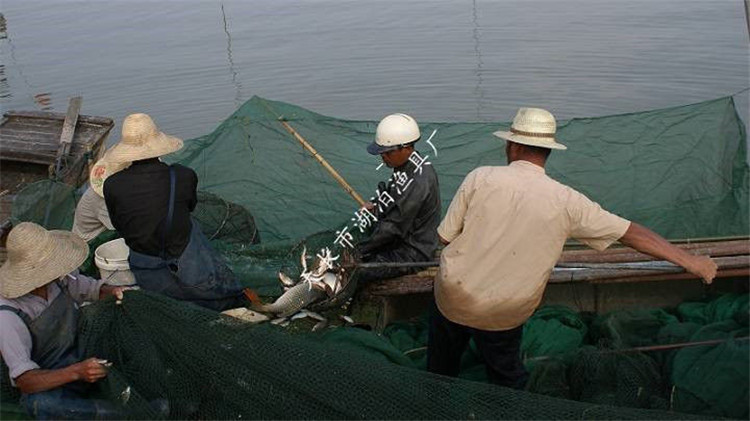 大拉网 无囊大拉网 地拉网 高脚网