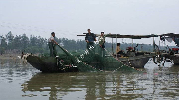 大拉网 无囊大拉网 地拉网 高脚网