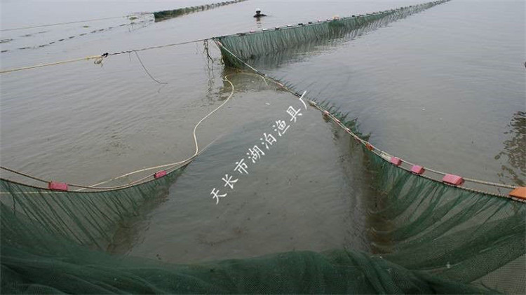 大拉网 无囊大拉网 地拉网 高脚网