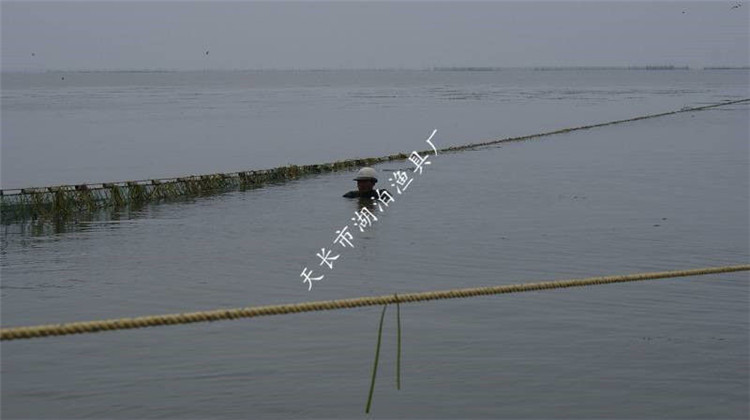 大拉网 无囊大拉网 地拉网 高脚网