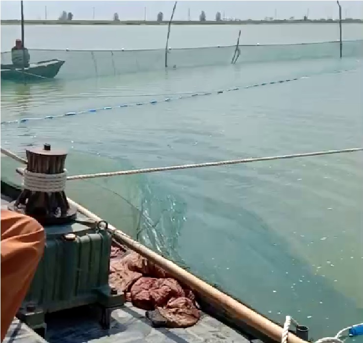 大拉网 无囊大拉网 地拉网 高脚网