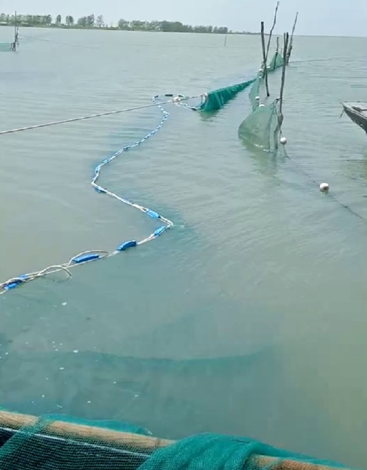 大拉网 无囊大拉网 地拉网 高脚网