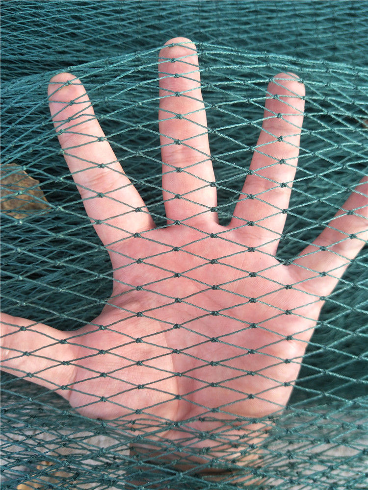 大拉网 无囊大拉网 地拉网 高脚网