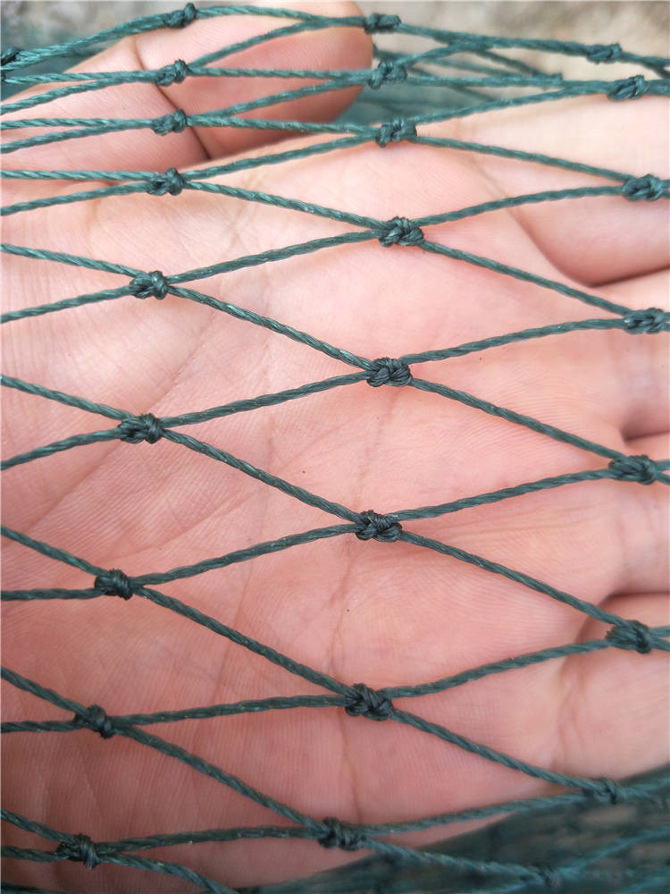 大拉网 无囊大拉网 地拉网 高脚网