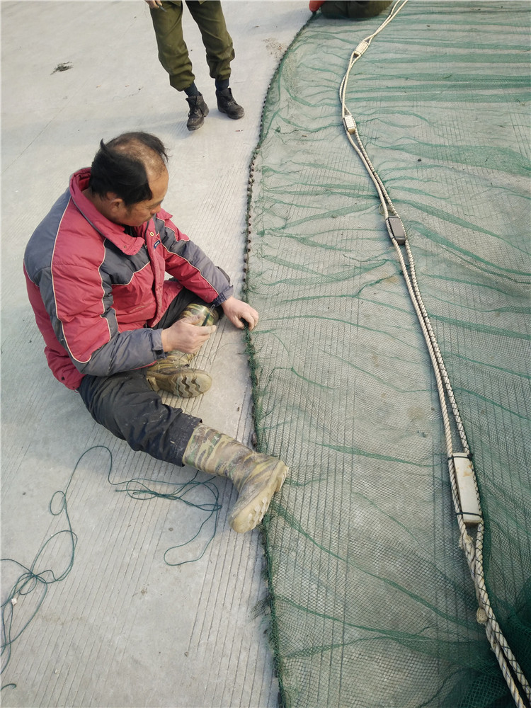 大拉网 无囊大拉网 地拉网 高脚网