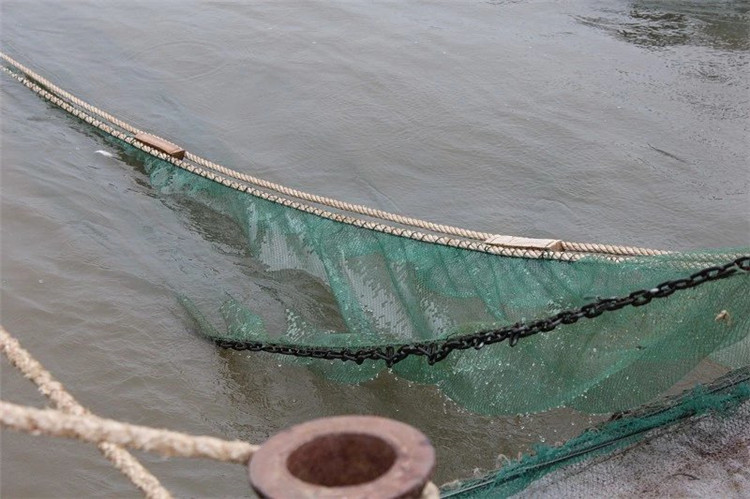 大拉网 无囊大拉网 地拉网 高脚网