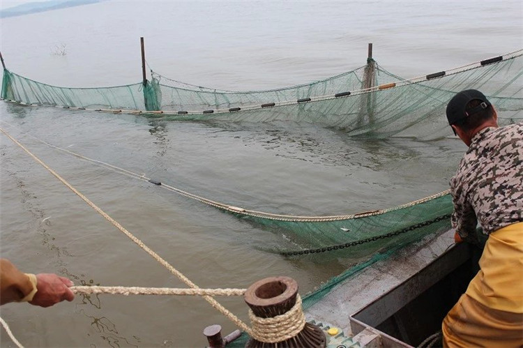 大拉网 无囊大拉网 地拉网 高脚网