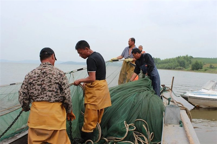 大拉网 无囊大拉网 地拉网 高脚网