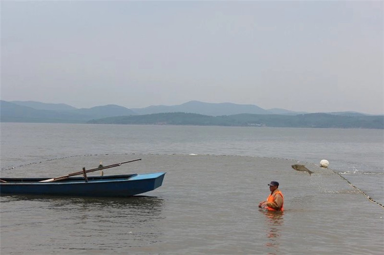 大拉网 无囊大拉网 地拉网 高脚网