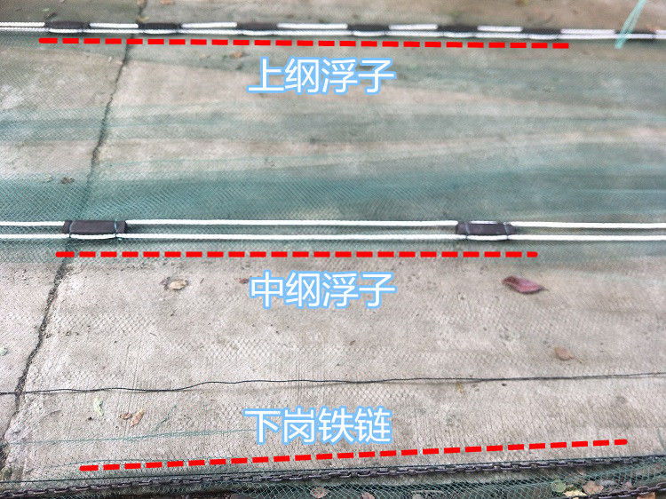 大拉网 无囊大拉网 地拉网 高脚网