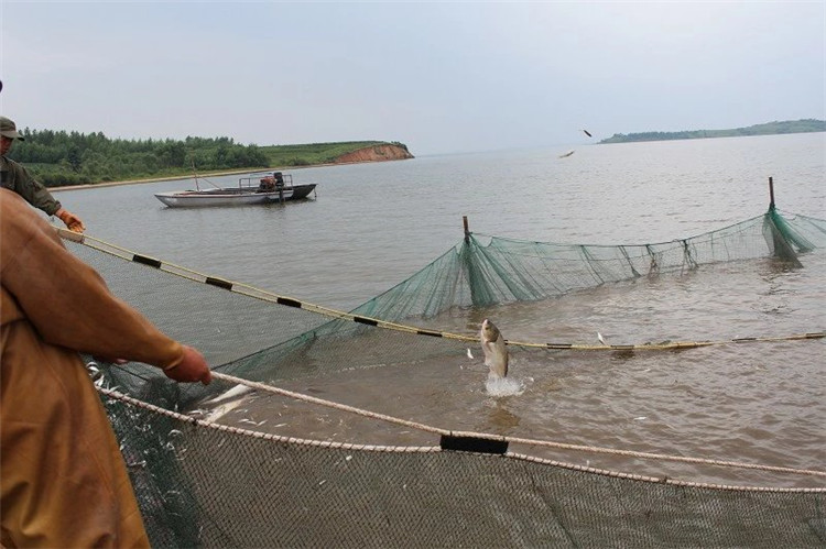 大拉网 无囊大拉网 地拉网 高脚网