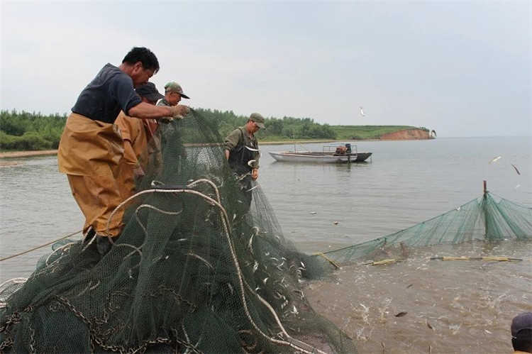 大拉网 无囊大拉网 地拉网 高脚网
