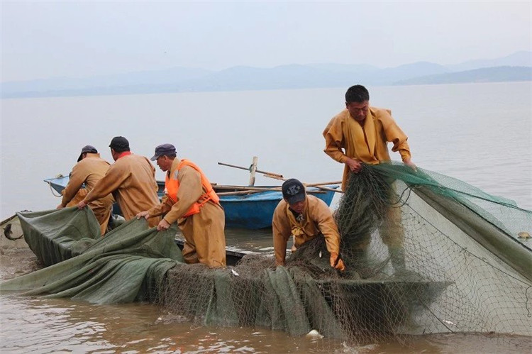 大拉网 无囊大拉网 地拉网 高脚网