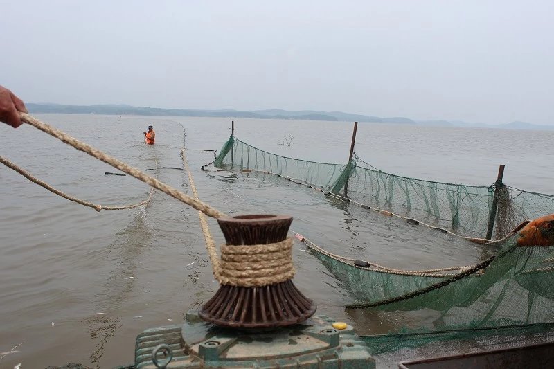 大拉网 无囊大拉网 地拉网 高脚网