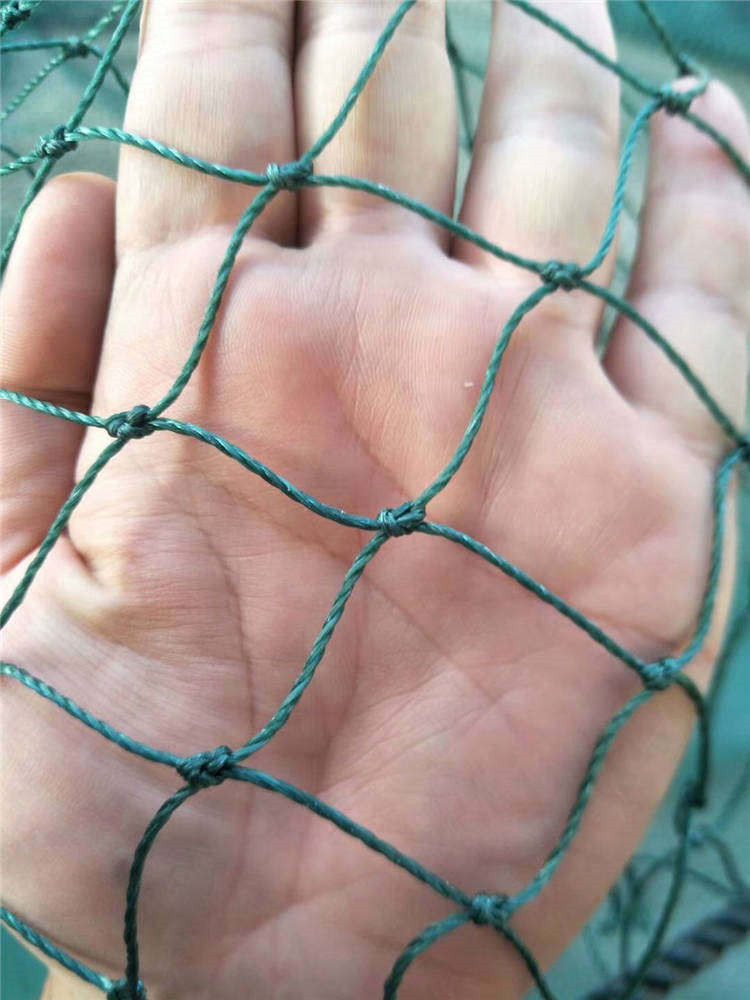 张网 八字网 八字网箱 综合渔具渔法