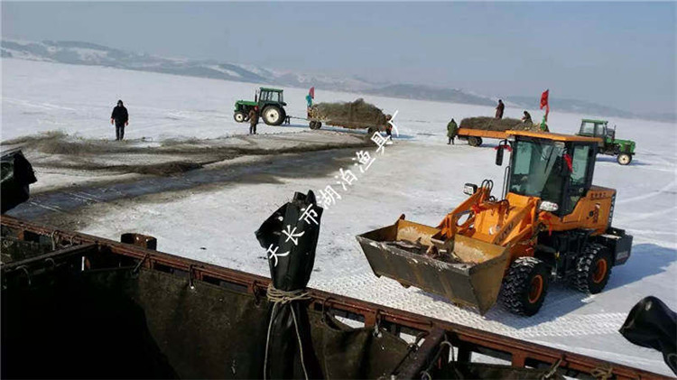 大拉网 有囊大拉网 冰下大拉网 地拉网