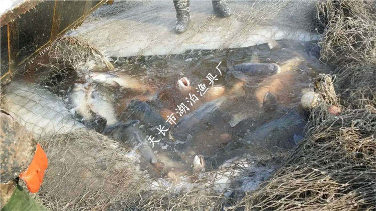 大拉网 有囊大拉网 冰下大拉网 地拉网