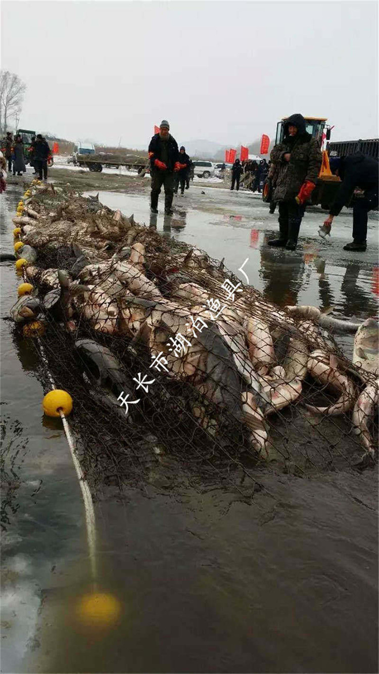 大拉网 有囊大拉网 冰下大拉网 地拉网