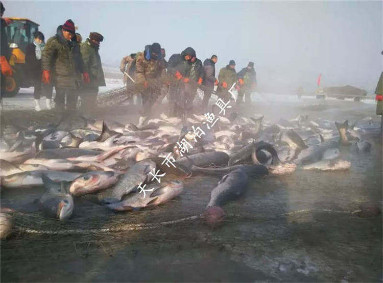 大拉网 有囊大拉网 冰下大拉网 地拉网