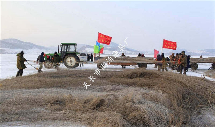 大拉网 有囊大拉网 冰下大拉网 地拉网