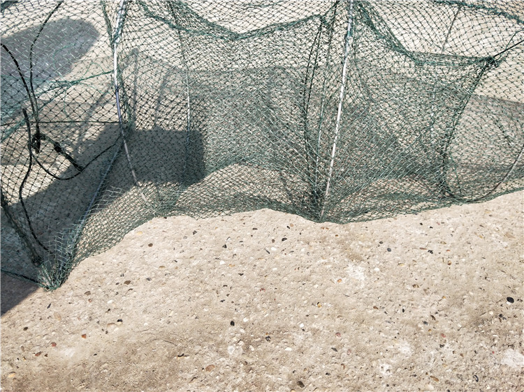 滚笼 甩笼 稻田 藕田 地笼 