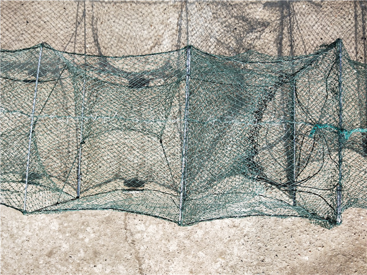 滚笼 甩笼 稻田 藕田 地笼 