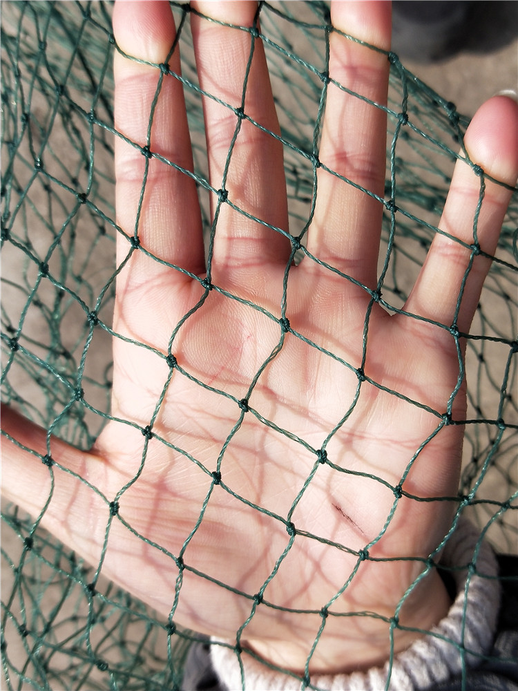 滚笼 甩笼 稻田 藕田 地笼 