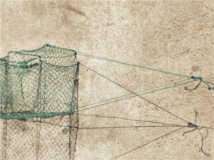 滚笼 甩笼 稻田 藕田 地笼 