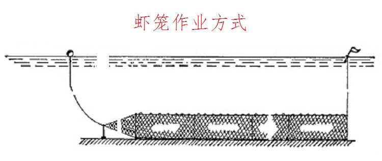 龙虾笼 地笼 龙虾网