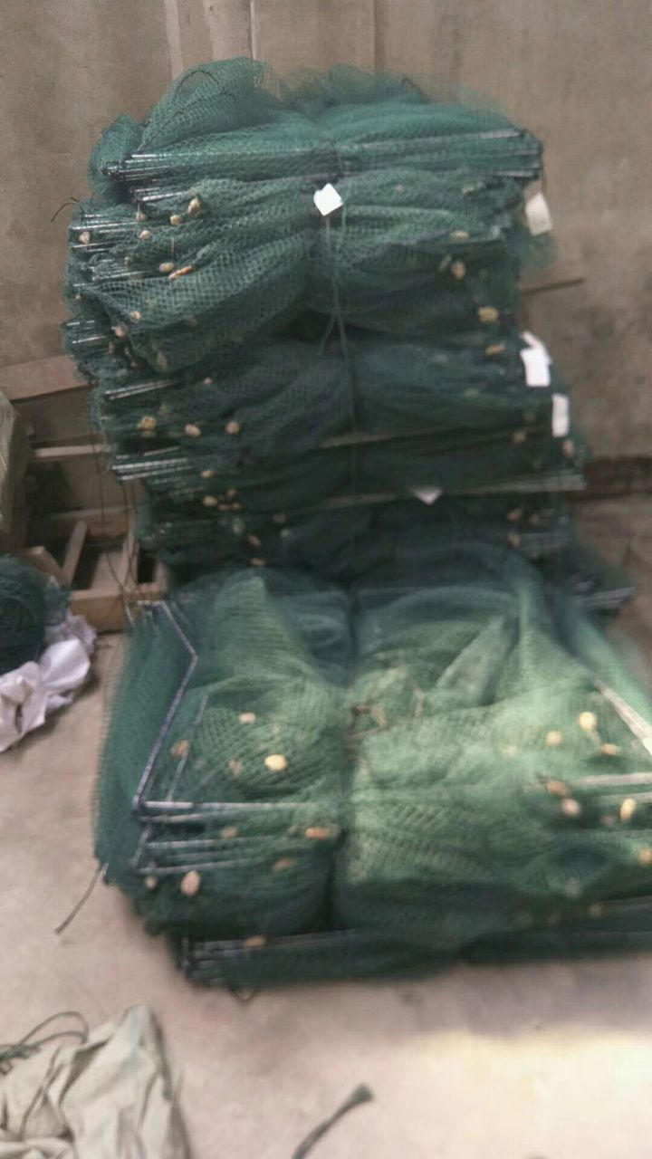 腰鼓型大鱼笼 鱼簖