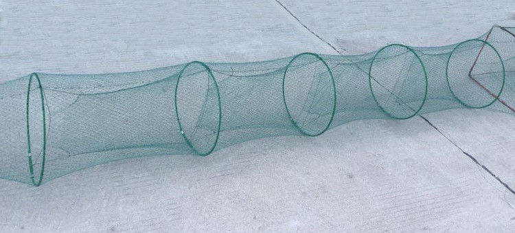 鱼笼 捕鱼 草鱼 鲫鱼 细丝 地笼 地笼网