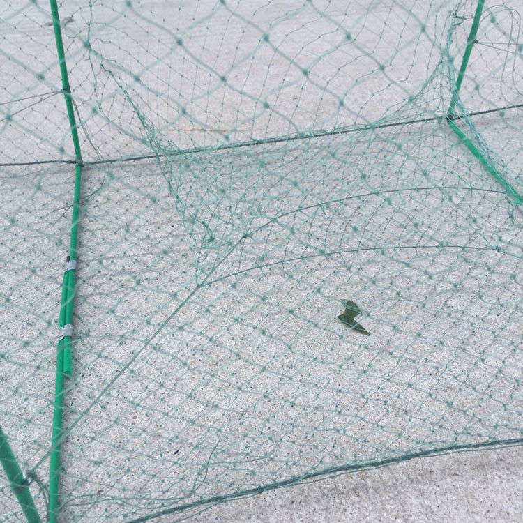 鱼笼 捕鱼 草鱼 鲫鱼 细丝 地笼 地笼网