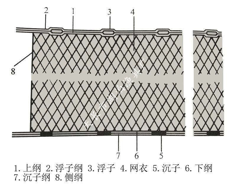张网 八字网 八字网箱 综合渔具渔法