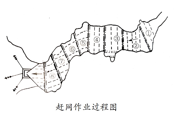 张网 八字网 八字网箱 综合渔具渔法