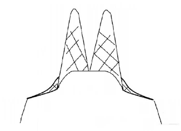 兜网 双翼双囊 拖网 桁杆底拖网 拖网