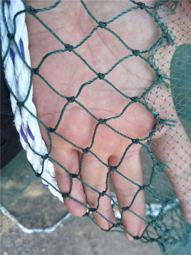 兜网 双翼双囊 双船 拖网 