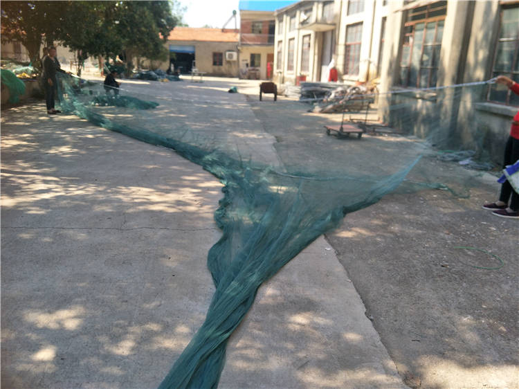 兜网 双翼双囊 双船 拖网 